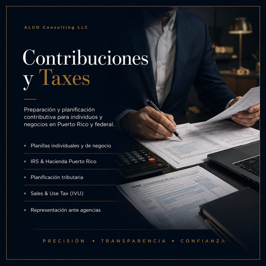 Tax Solutions — ALUD Consulting LLC