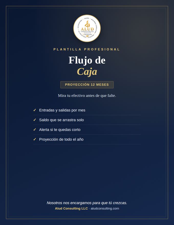 Flujo de Caja 12 Meses